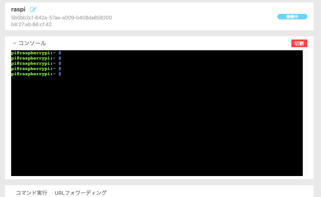 コンソール画面の例